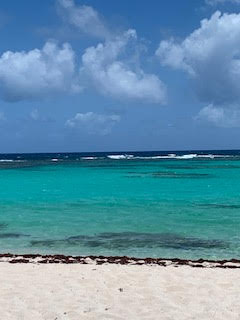 Anegada Beach Club Beach