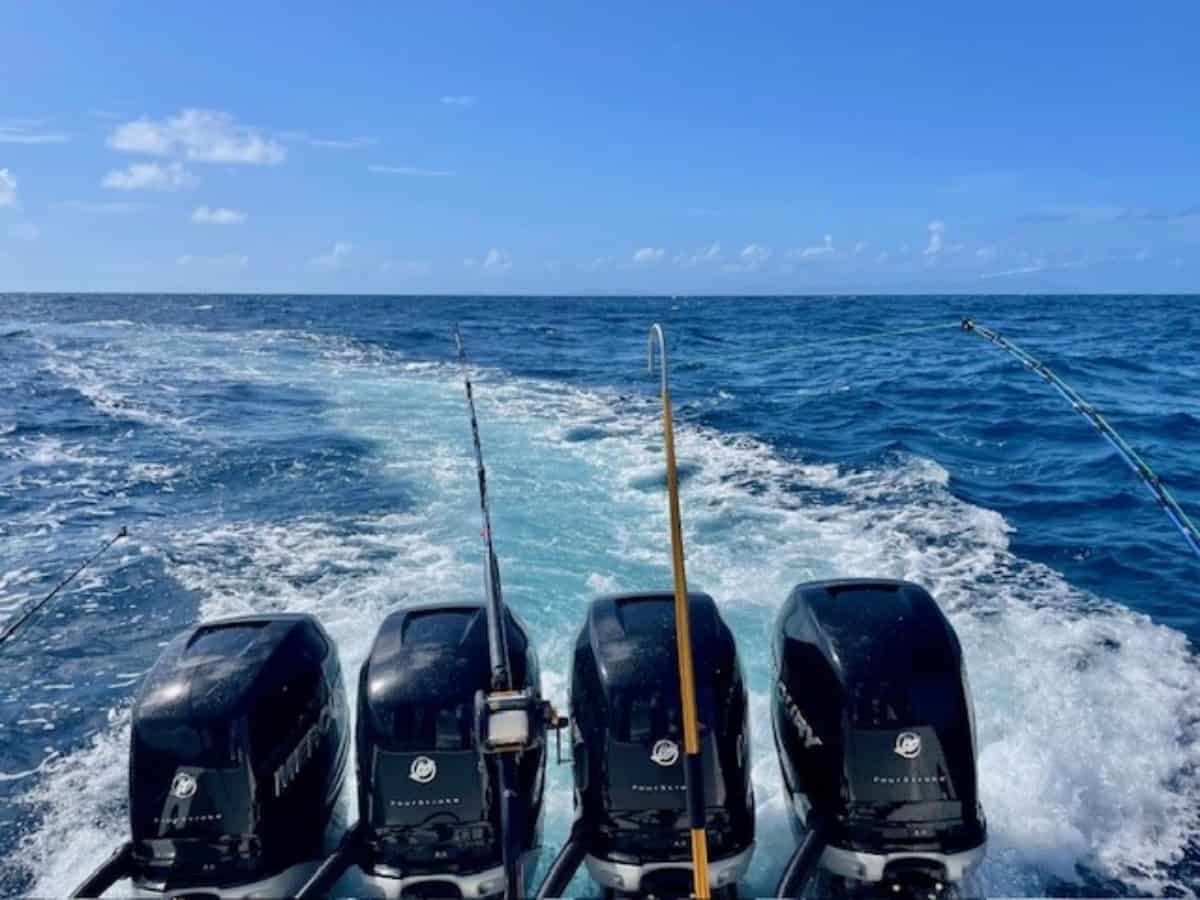 Frenchman Cay Fishing